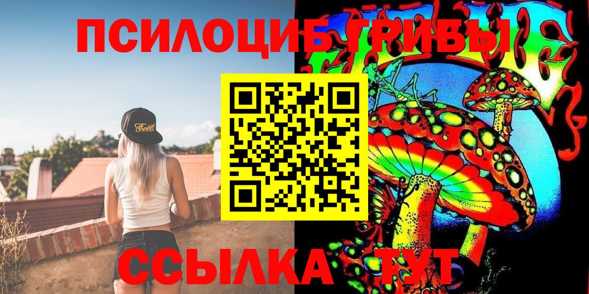 Лесной  Галлюциногенные грибы прущие грибы  Вход с VPN 